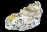 Cerussite Crystals with Bladed Barite on Galena - Morocco #100770-1